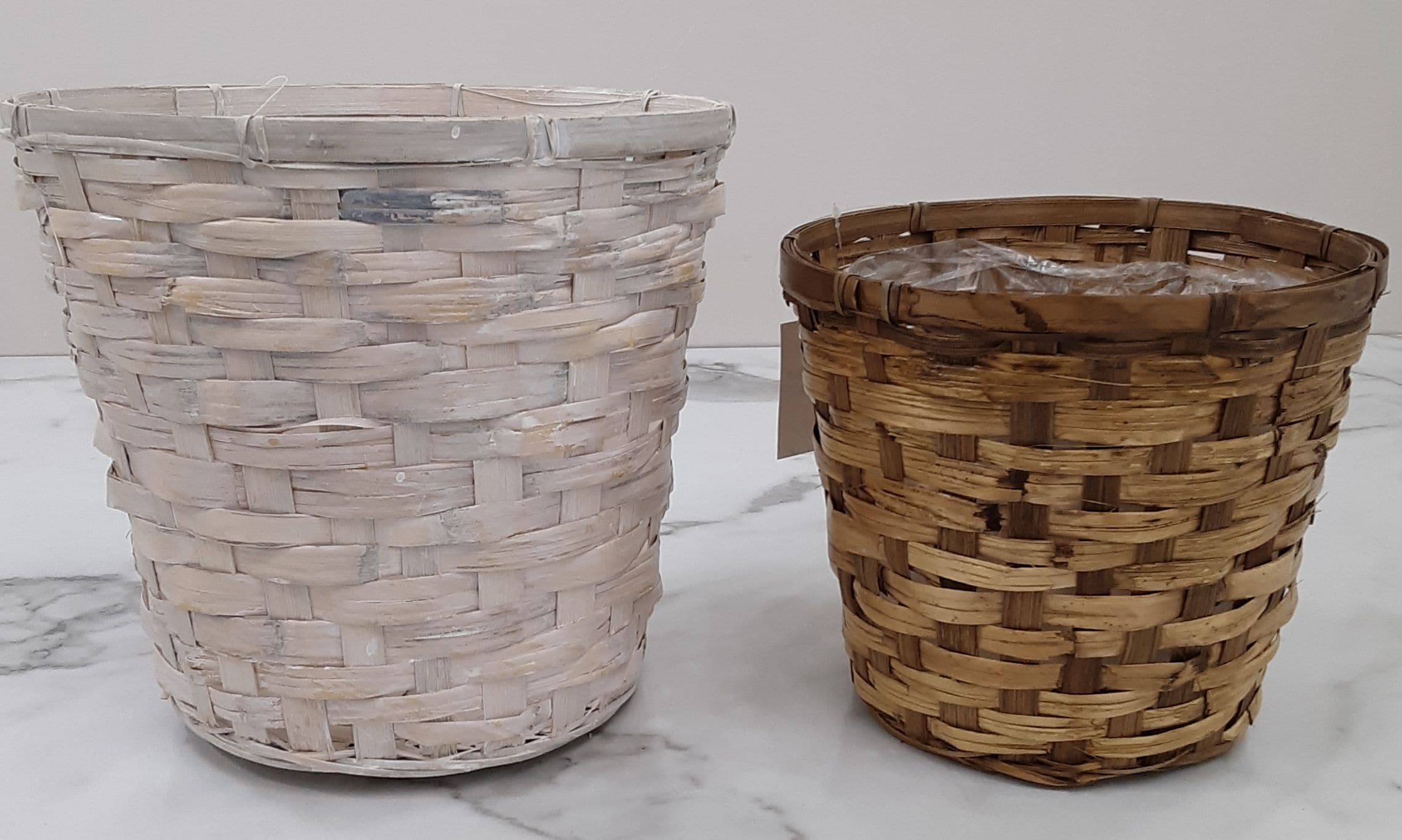 Basket for Green Plant